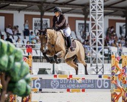 jumper K.I Ludique (KWPN (Royal Dutch Sporthorse), 2016, from Baltic VDL)