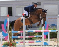 Cheval de saut Body-Check (Hanovrien, 2016, de Blockbuster)