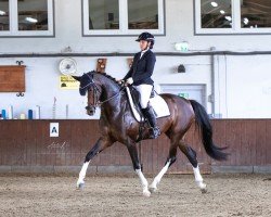 dressage horse Zoom's Darling M (Westphalian, 2018, from Zoom)