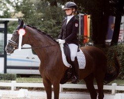 dressage horse Sharleen 4 (Westphalian, 2013, from Sir Donnerhall I)