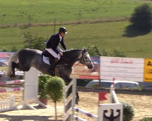 Reitturnier Lindlar 2014