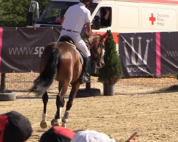 Reitturnier Lindlar 2014