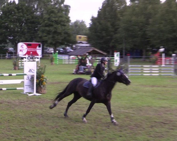Reitturnier Woldegk 2025