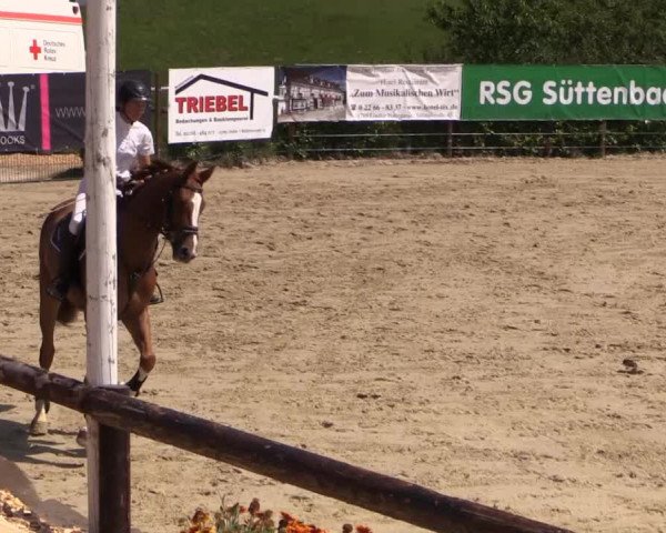 Reitturnier Lindlar 2014