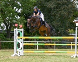 jumper I´m the One (anglo european sporthorse, 2019, from Banagro M)
