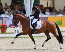 broodmare Estelle PS NRW (Westphalian, 2020, from Escalito 3)