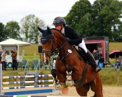 jumper Little Magic 6 (Oldenburg show jumper, 2018, from Pikeur Lord Fauntleroy)