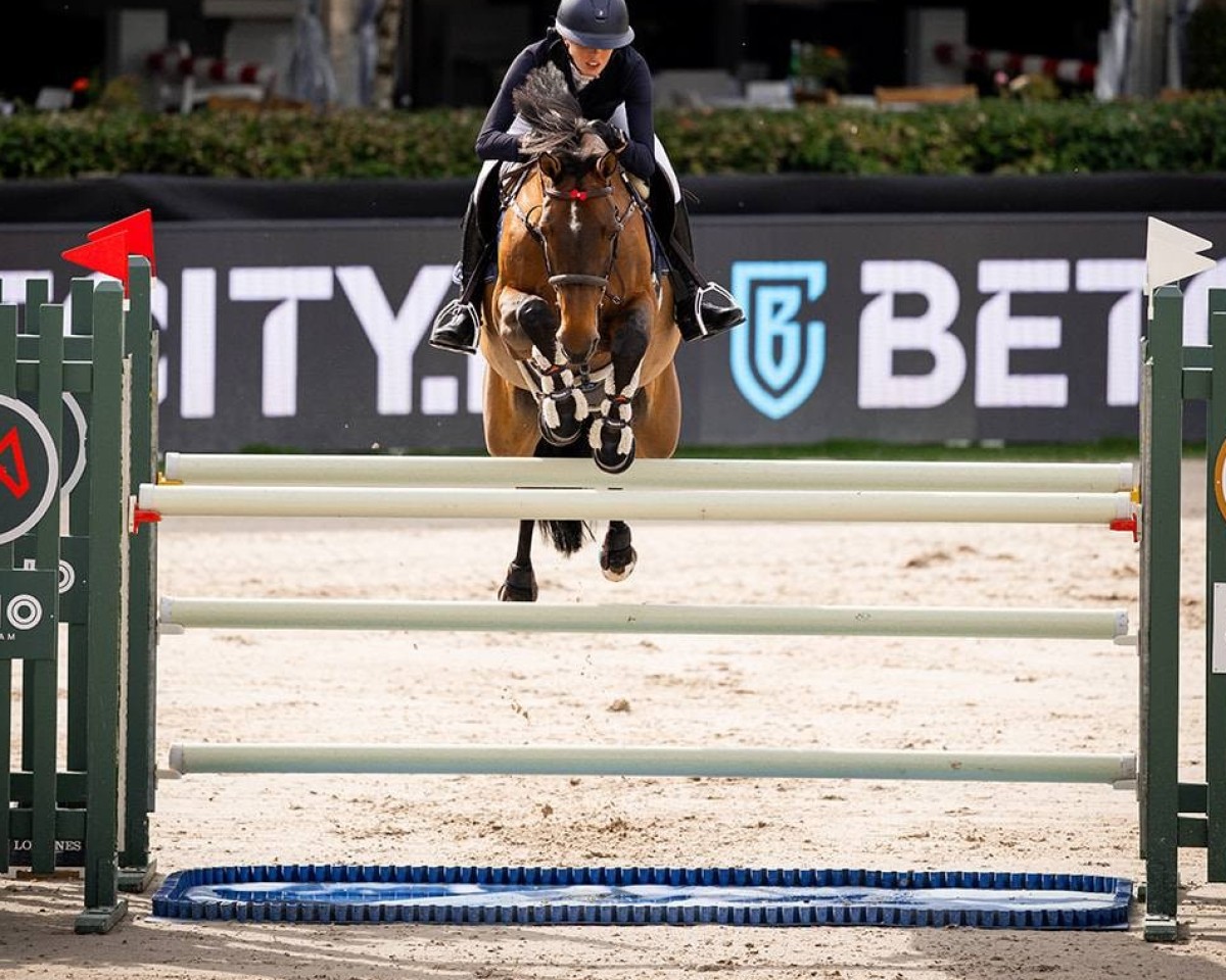 Springpaard Finlandina (Holsteiner, 2013, van Spartacus TN)