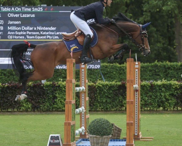 jumper Jansen (Swedish Warmblood, 2018, from Million Dollar)