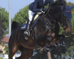 broodmare Diablesse (Hanoverian, 2010, from Diarado)