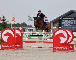 jumper Popeye vd Bisschop (Belgian Warmblood, 2015, from Lector van de Bisschop)