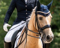 dressage horse Charlotta Rubin (German Riding Pony, 2015, from FS Champion de Luxe)