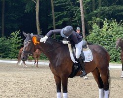 dressage horse Quexibeau (Hanoverian, 2018, from Quantensprung 3)