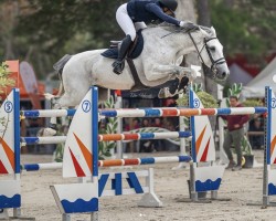 jumper Jolie Chavannaise (Belgium Sporthorse, 2015, from Cicero Z van Paemel)