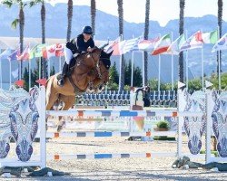 jumper Kampari Dnl Z (Zangersheide riding horse, 2017, from Kannan)