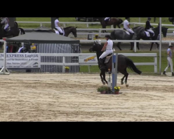 Reit- und Springturnier des RV Letmathe e.V. 2014