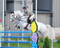 jumper Fire (KWPN (Royal Dutch Sporthorse), 2010, from Alicante 42)