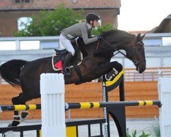 Broodmare Nintendra (Oldenburger Jumping Horse, 2008, from Nintender)