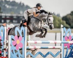 Cheval de saut Ulrike van de Kattevennen Z (Zangersheide Reitpferd, 2018)