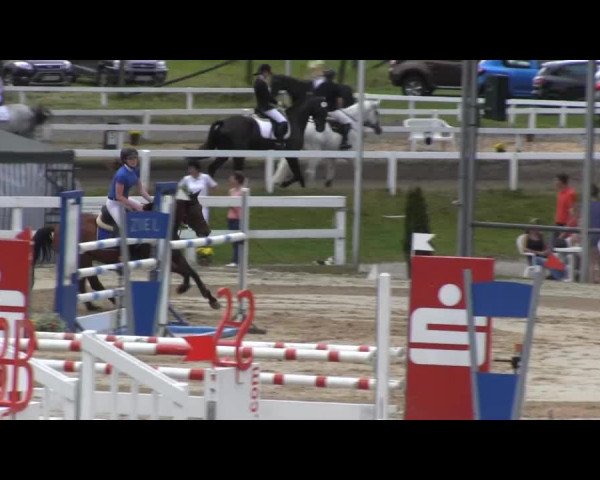 Reit- und Springturnier des RV Letmathe e.V. 2014