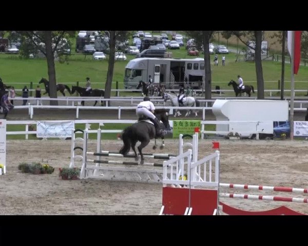Reit- und Springturnier des RV Letmathe e.V. 2014