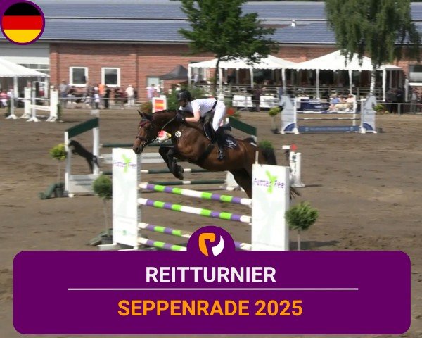Reitturnier Seppenrade 2025