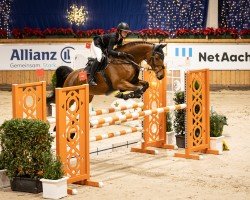 jumper Wimpel 183 (Hanoverian, 2010, from Abke 4)
