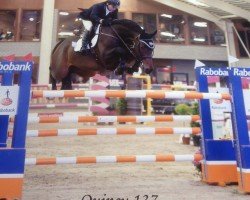 Cheval de saut Quincy 137 (Oldenbourg, 2005, de Quality 9)