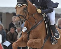 broodmare Part de Reve (Selle Français, 2003, from Burggraaf)