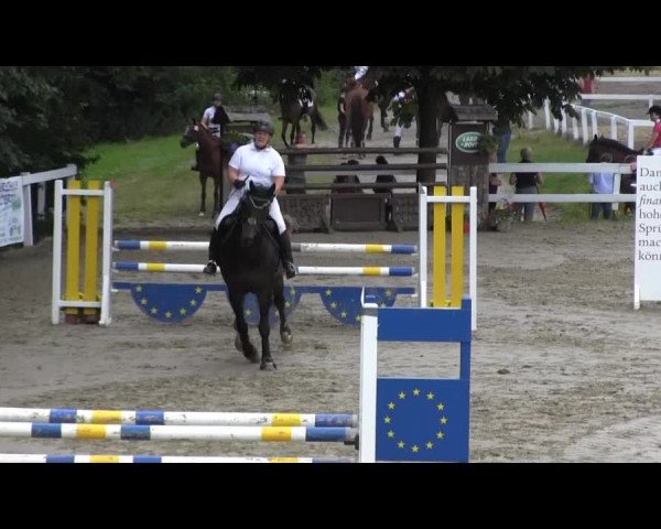 Reit- und Springturnier des RV Letmathe e.V. 2014