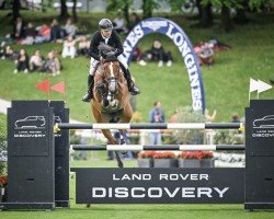 broodmare Oxana vd Bisschop (Belgian Warmblood, 2014, from Air Jordan Alpha Z)