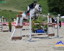 Cheval de saut Callucia Vh Bloemenhof Z (Zangersheide Reitpferd, 2008, de Calluccio)