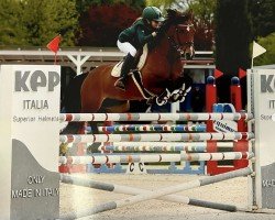 jumper Brise D'Angels (French Pony, 2011)