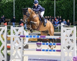 Jumper Da Vinci (Hanoverian, 2015, from Diacontinus)