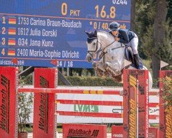 Caballo de salto C-Love GA NRW (Westfaliano, 2019, de Catch)