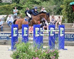 Jumper Maple Leaf Z (Zangersheide Riding Horse, 2012, from Mylord Carthago)