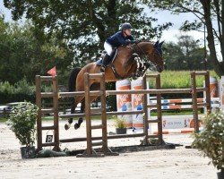 broodmare Very Up de la Roque (Selle Français, 2009, from Kannan)