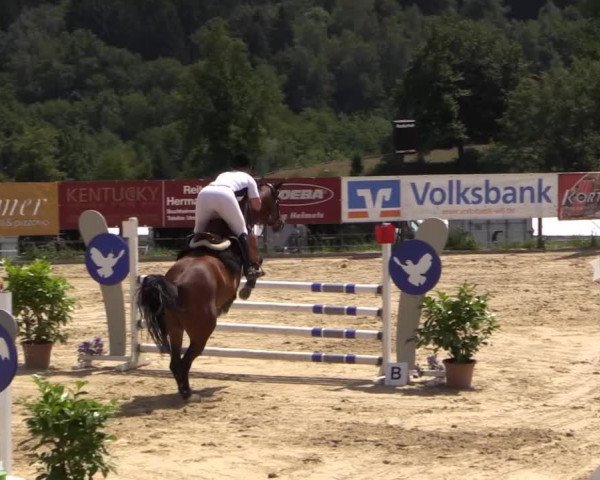 Reitturnier Lindlar 2014