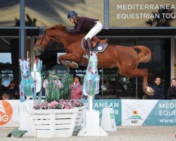 Springpferd Estrella de La Pomme (Belgisches Warmblut, 2010, von Vagabond de la Pomme)