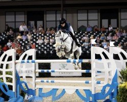 Broodmare Cyramo Z (Zangersheide Riding Horse, 2011, from Clarimo Ask)