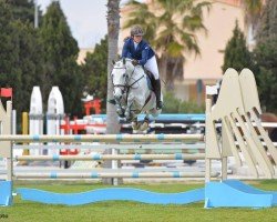 Cavallo da salto Gorki F (Cavallo a sangue caldo belga, 2006, di VDL Cardento 933)