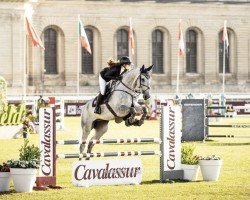 Cavallo da salto Casanova White (Renano, 2016, di Cornet Session)