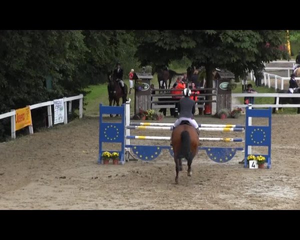Reit- und Springturnier des RV Letmathe e.V. 2014