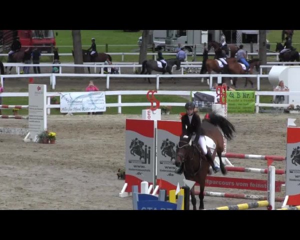 Reit- und Springturnier des RV Letmathe e.V. 2014