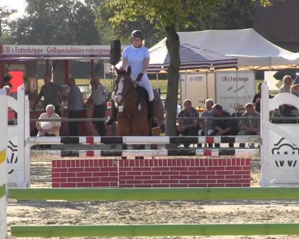 Reitturnier Senden 2014
