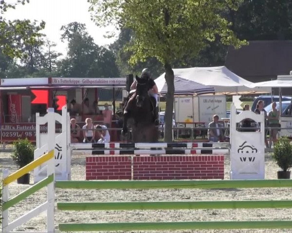Reitturnier Senden 2014