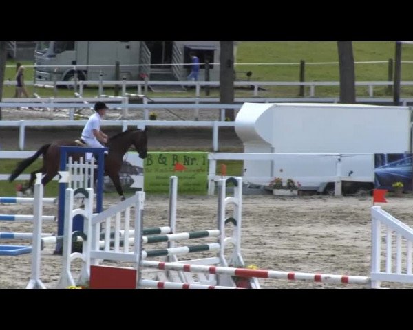 Reit- und Springturnier des RV Letmathe e.V. 2014