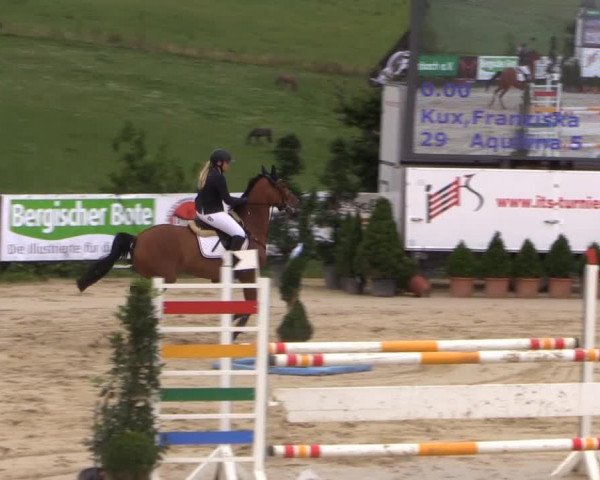 Reitturnier Lindlar 2014