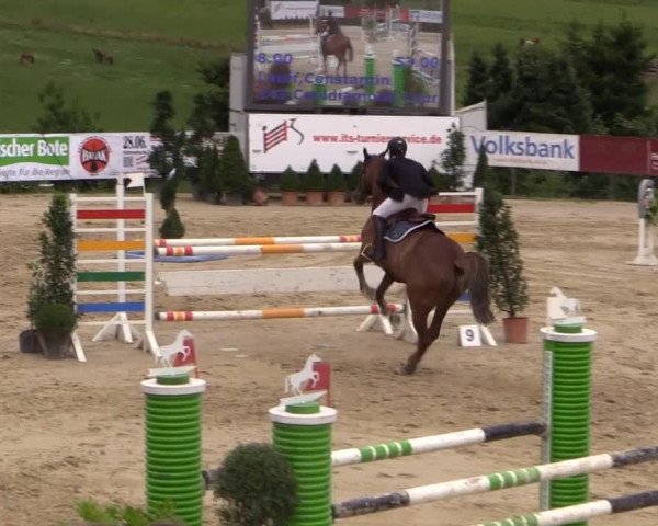 Reitturnier Lindlar 2014