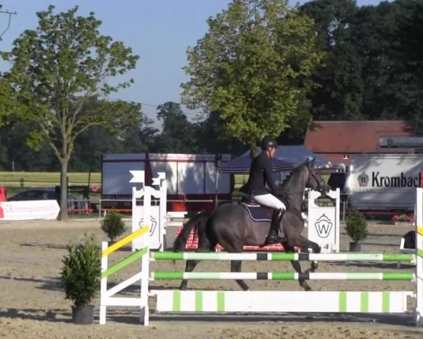 Reitturnier Senden 2014